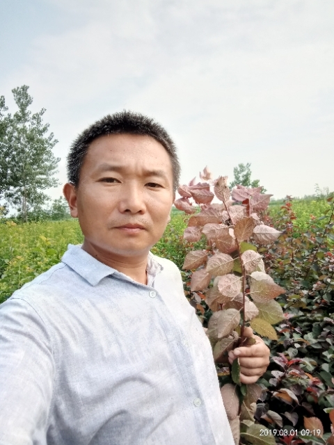 孩子爸的第二张照片--徐州认干亲服务网